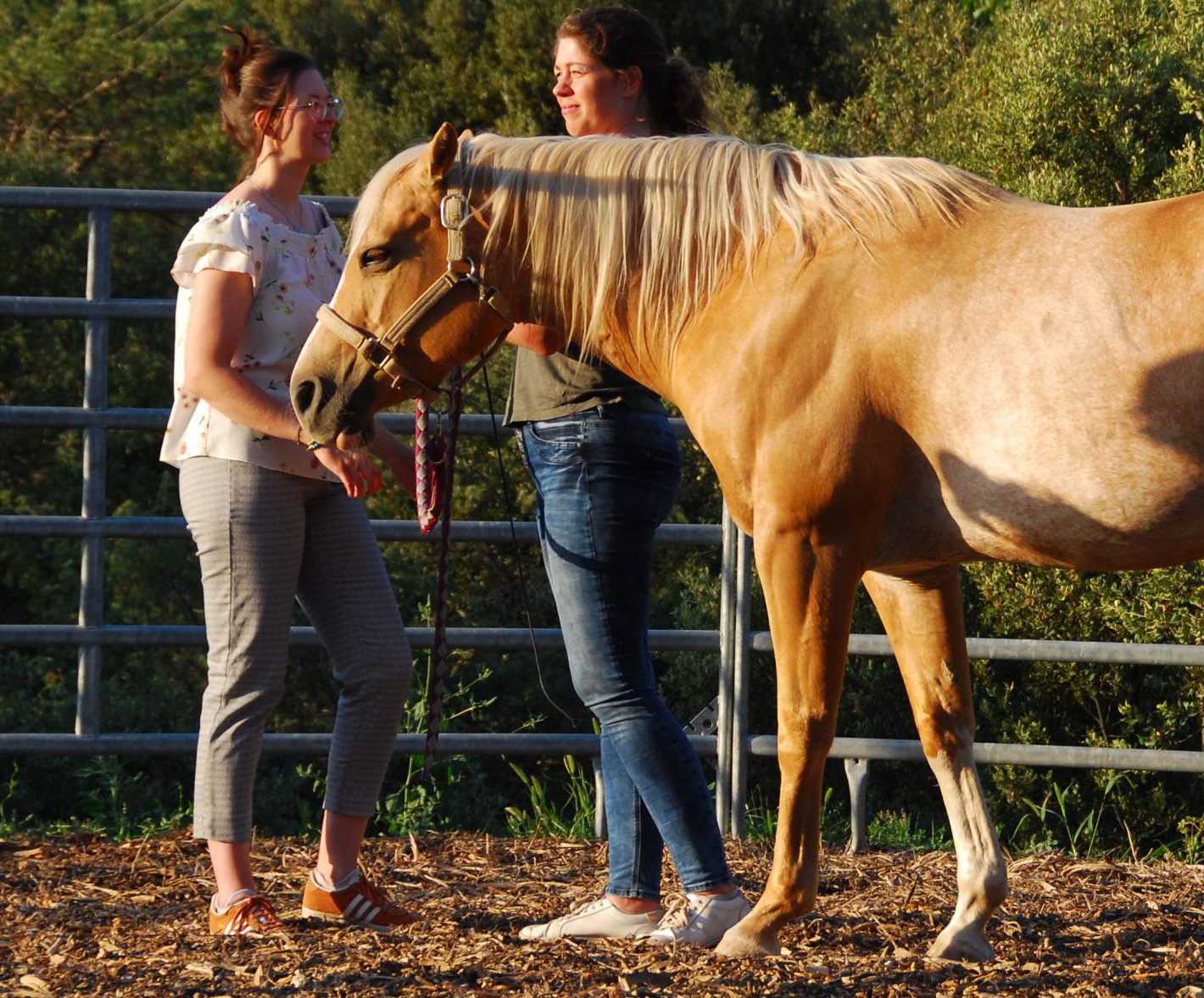 Coaching et thérapie, quelles différences ?