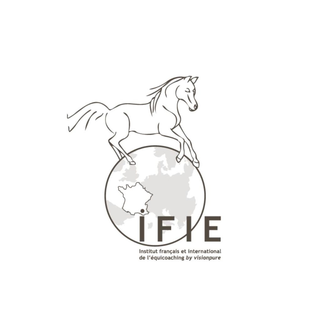 Logo IFIE by Visionpure