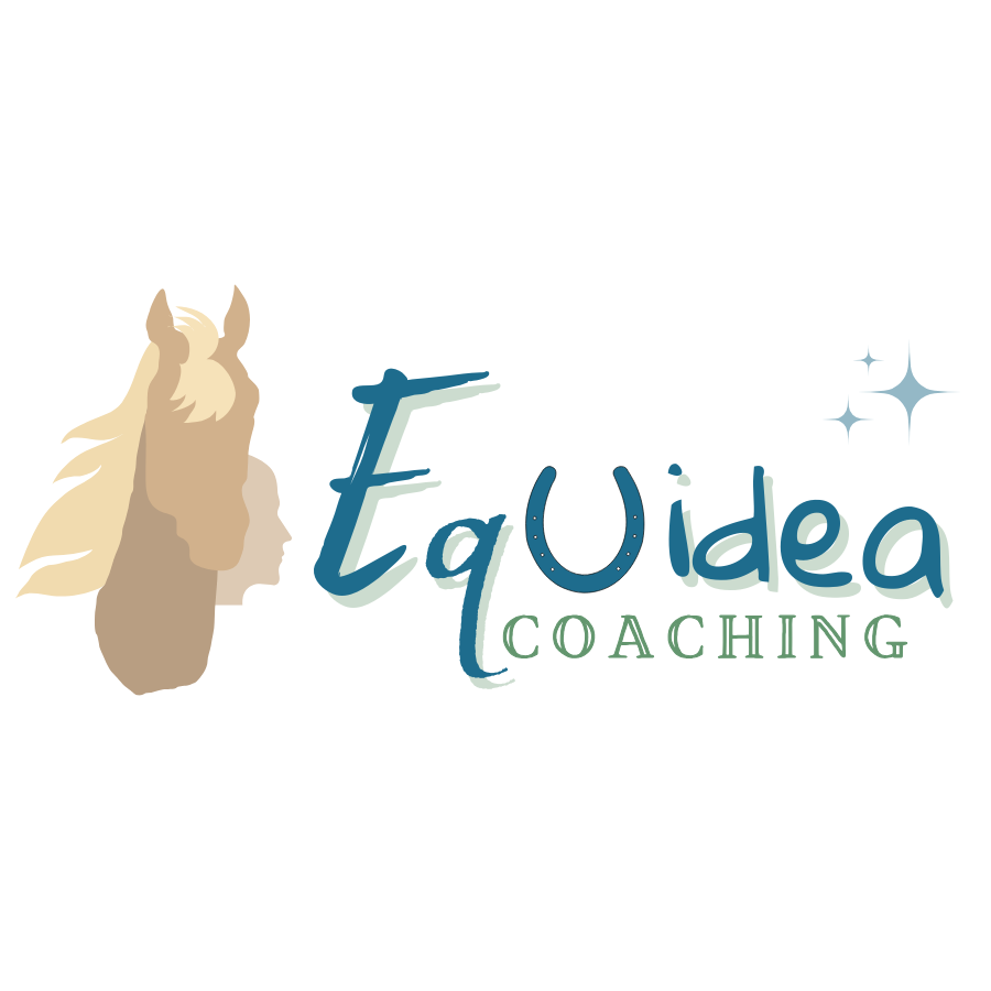 Pourquoi choisir Equidea Coaching ?