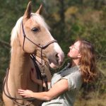 Equicoaching cheval partenaire
