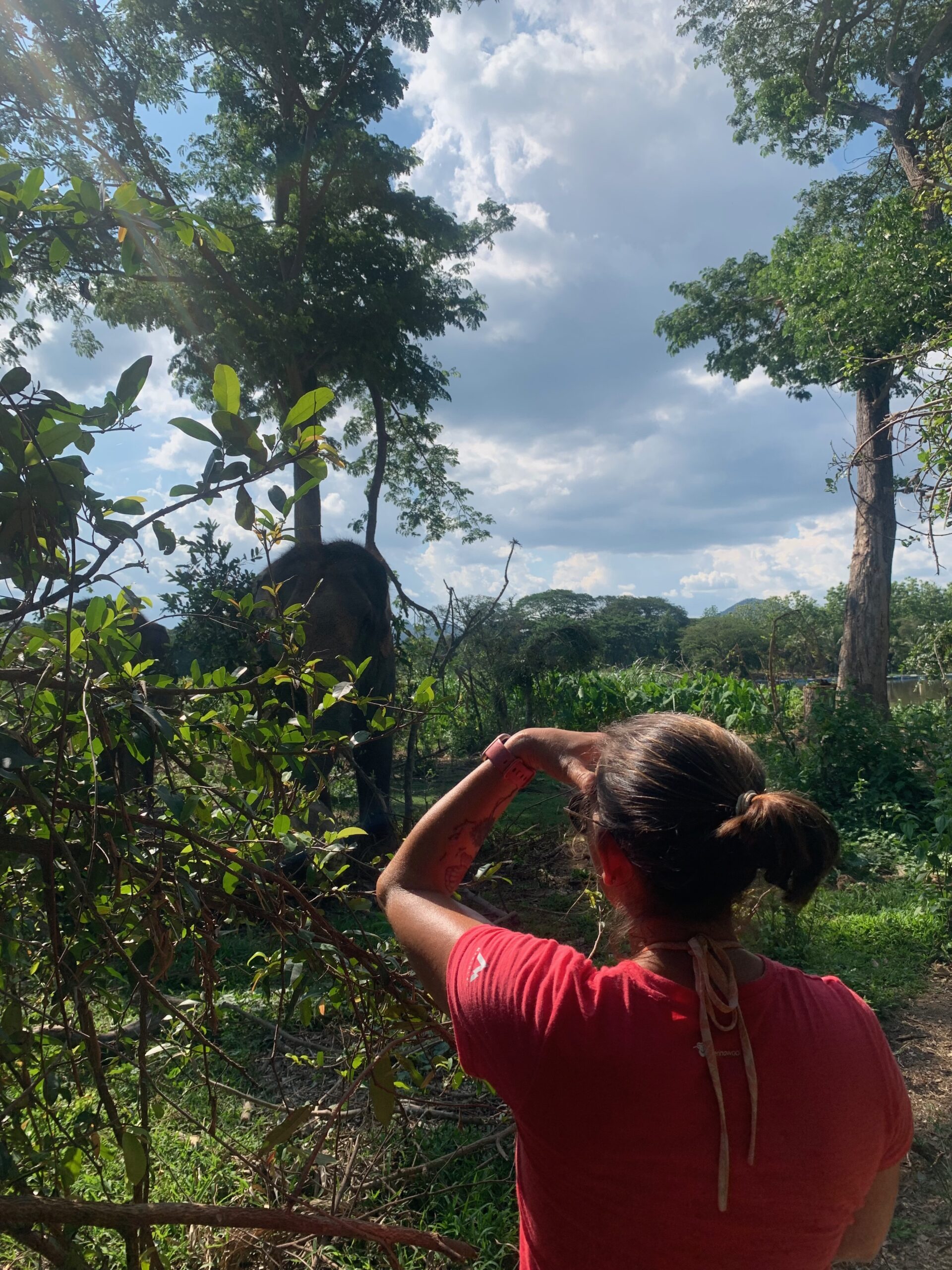 observation en pleine nature