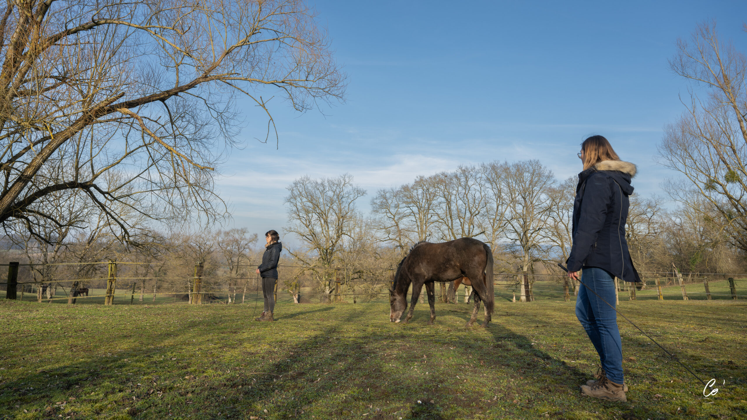 Trouver sa voie grâce à l’équicoaching : mon parcours de reconversion